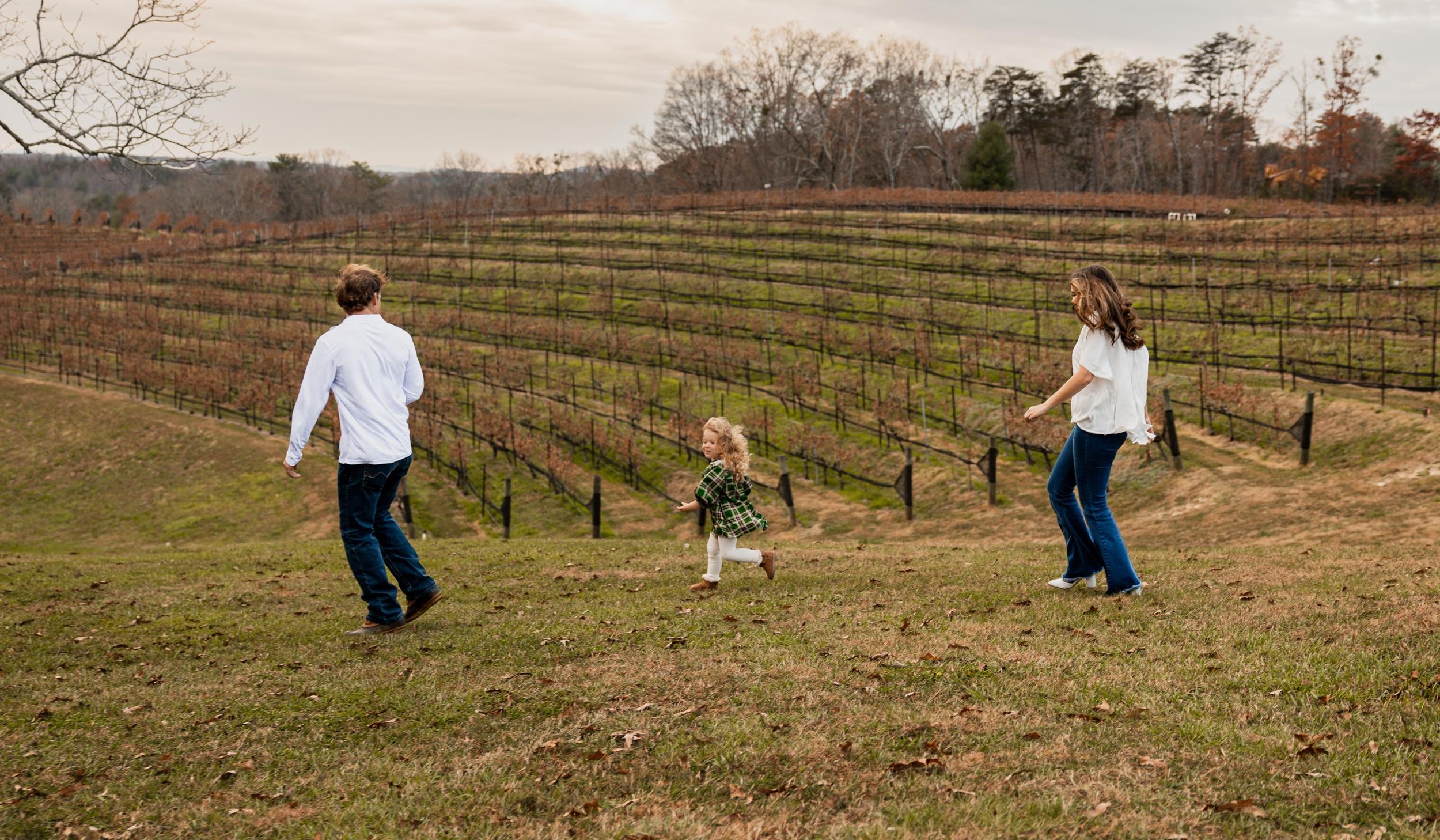 Hero Slideshow Image 4