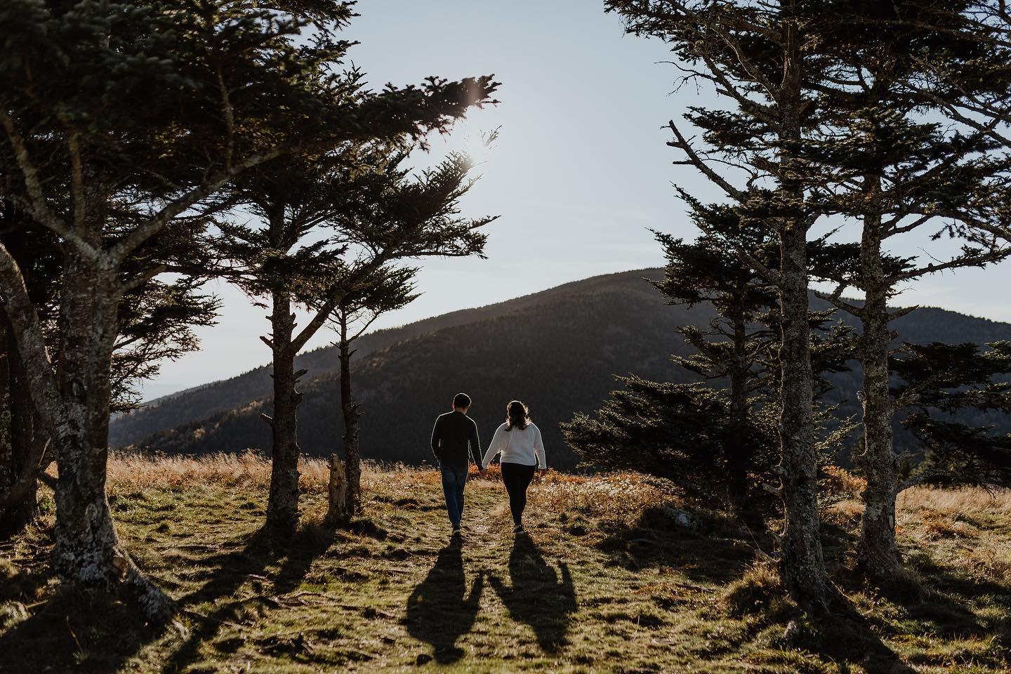 The Wedding Website of Ashley Falcon and Nicholas Reynoso