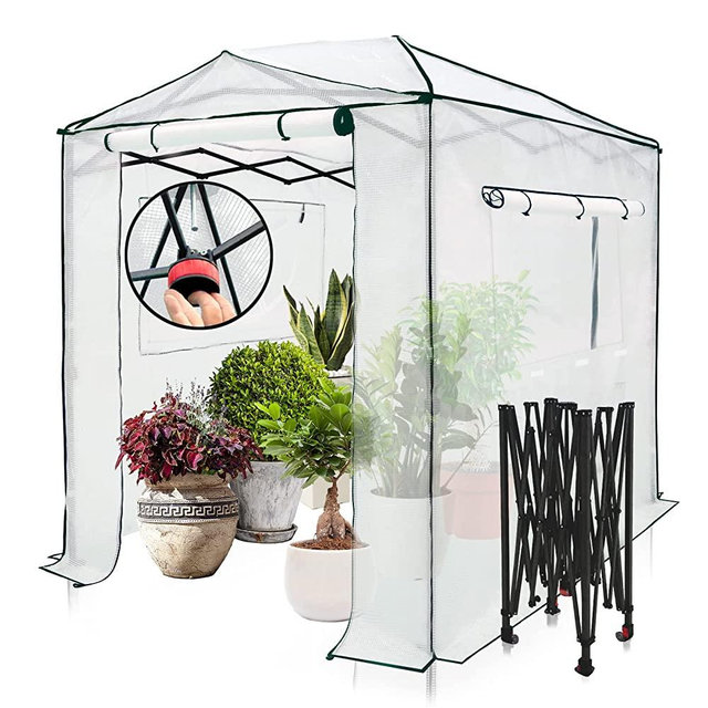 EAGLE PEAK 8'x6' Portable Walk-in Greenhouse Instant Pop-up Indoor Outdoor Plant Gardening Green House Canopy, Front and Rear Roll-Up Zipper Entry Doors and 2 Large Roll-Up Side Windows, White