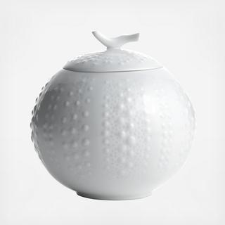 Corail Sugar Bowl