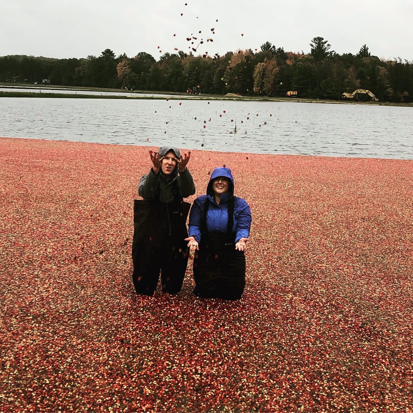 Trip to Wetherby Cranberry farm