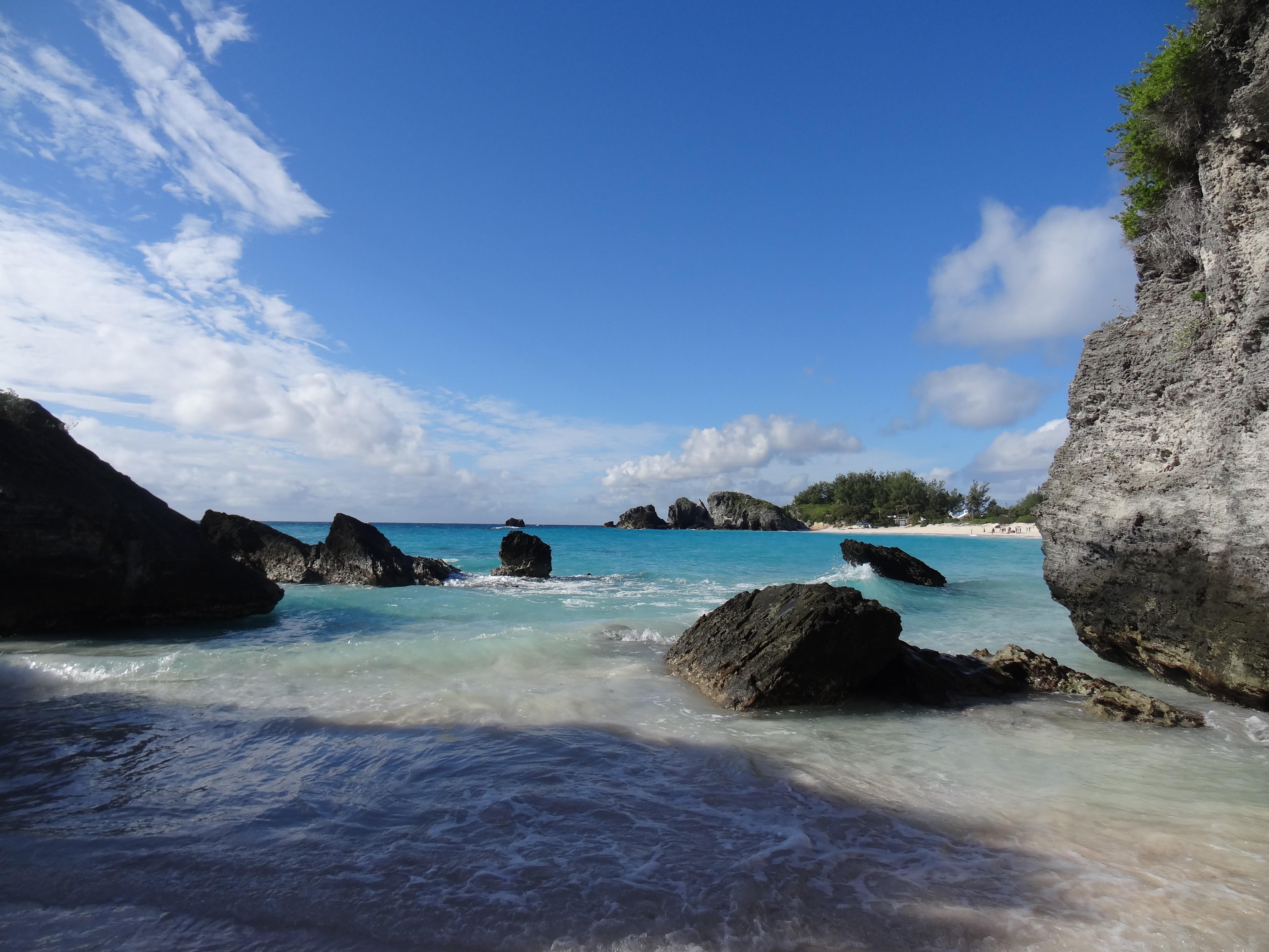 The Wedding Website of Natalie Marella and Nicholas Marella