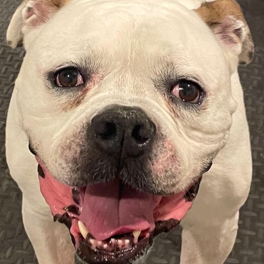 Mason is excited for his humans to be married!