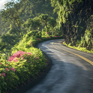 Road to Hana Tour