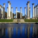 United States National Arboretum