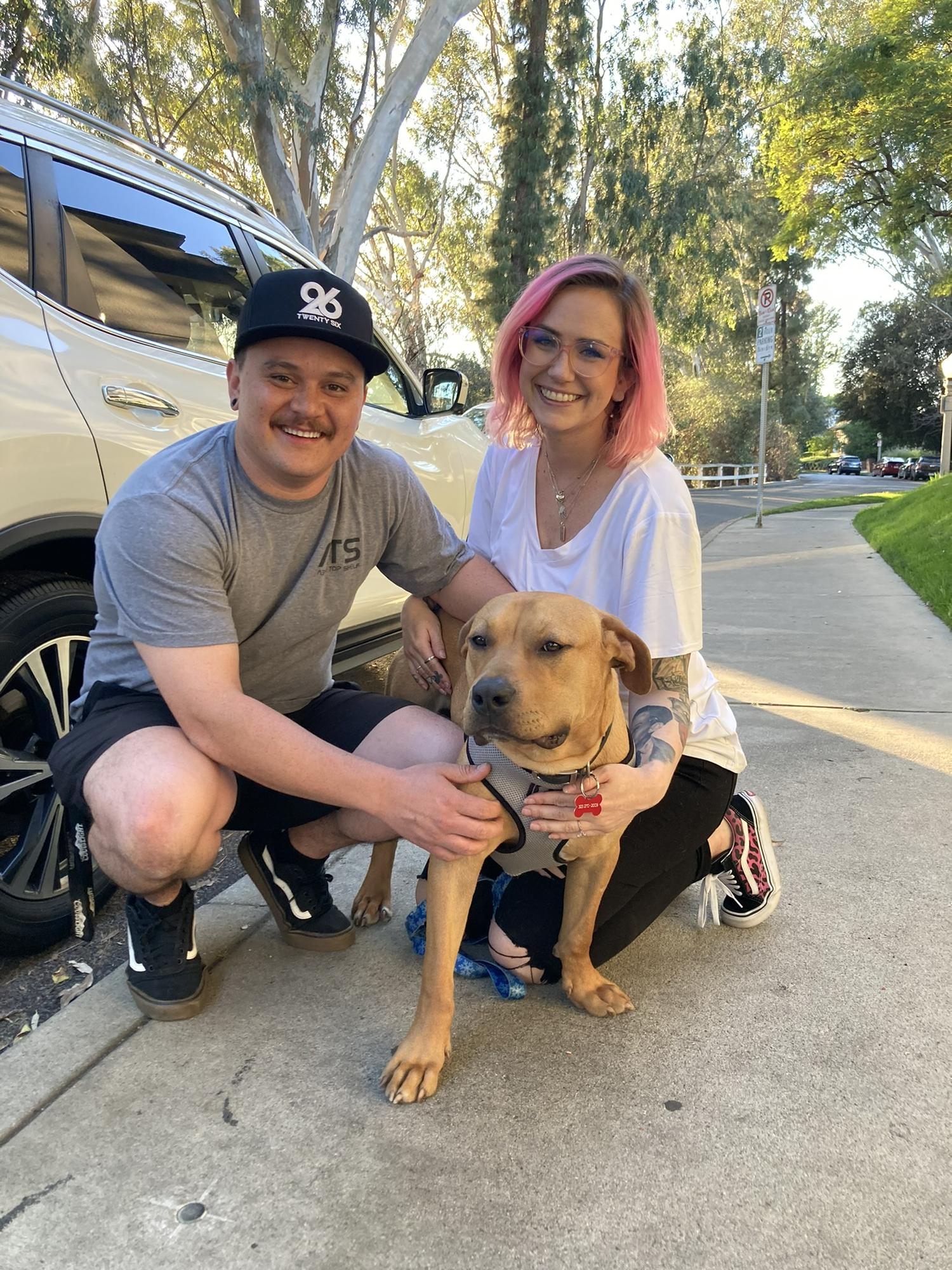 Adopting our new fur child, sweet boy Ube 
March 2022