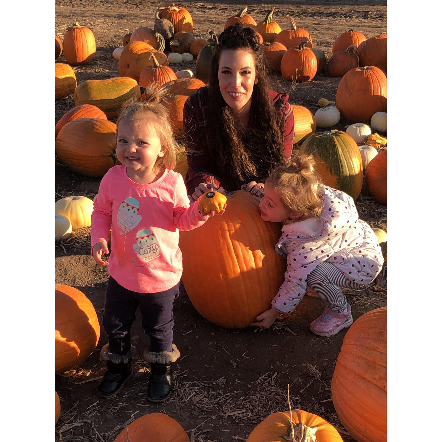 Pumpkin Huntin