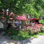 Jefferson Vineyards