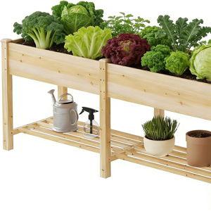 Raised Garden Beds