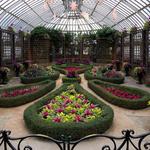 Phipps Conservatory and Botanical Gardens