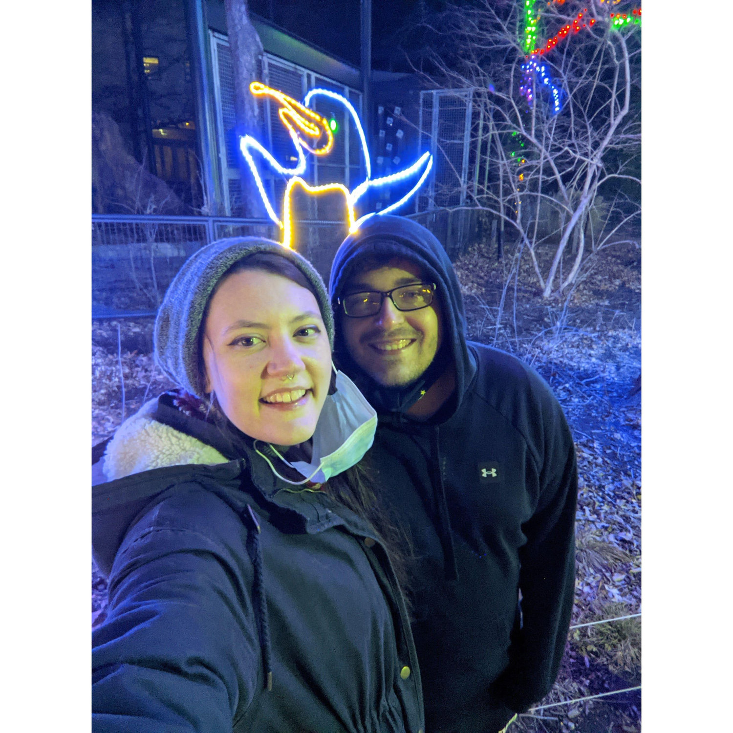 Zoo Lights at the Lincoln Park Zoo