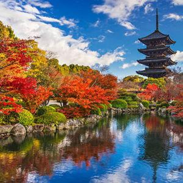 Kyoto Garden & Temple Admissions