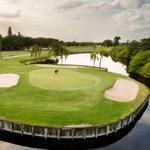 Mangrove Bay and Cypress Links Golf Courses