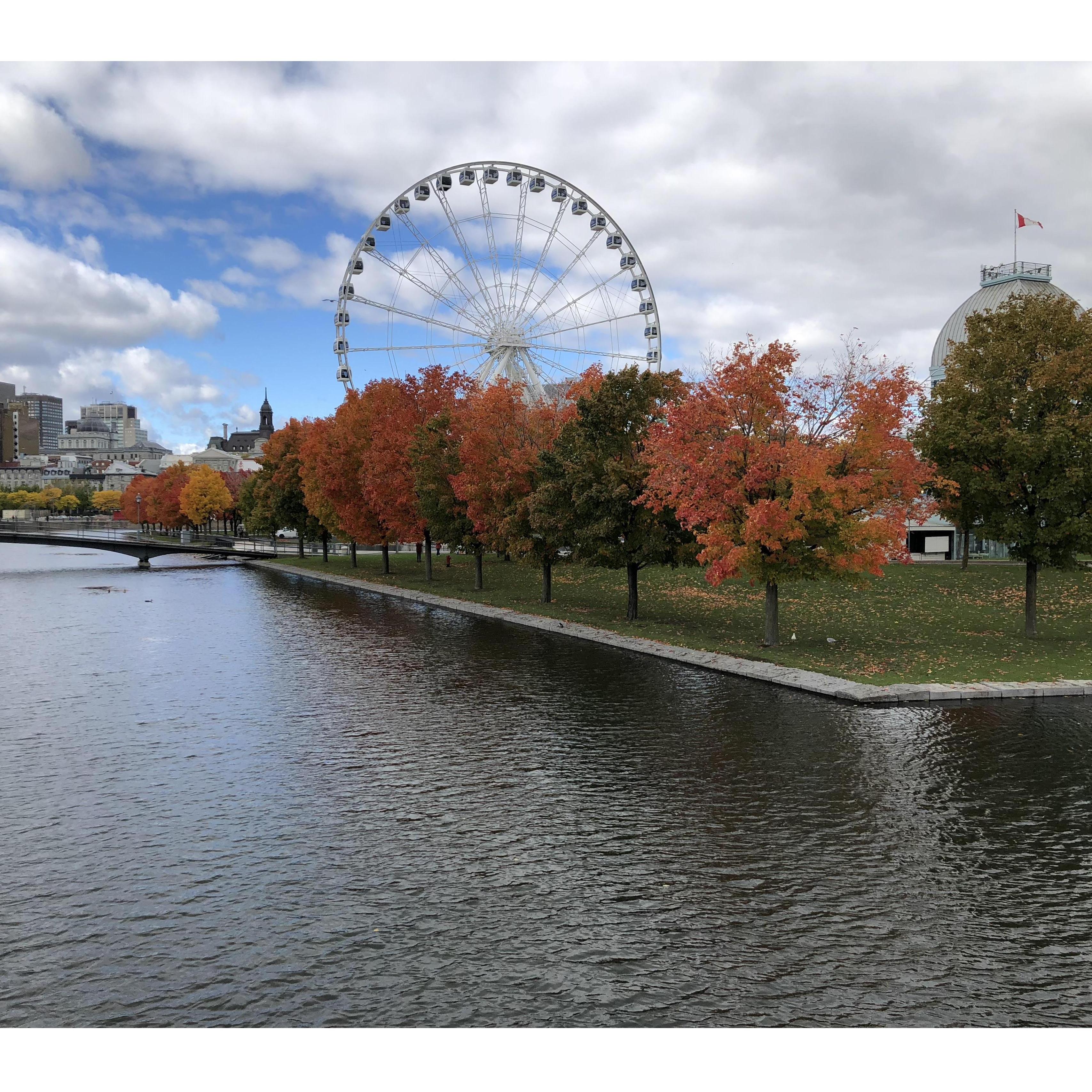 Montreal in Fall