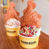 Somisomi