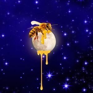 Honeymoon