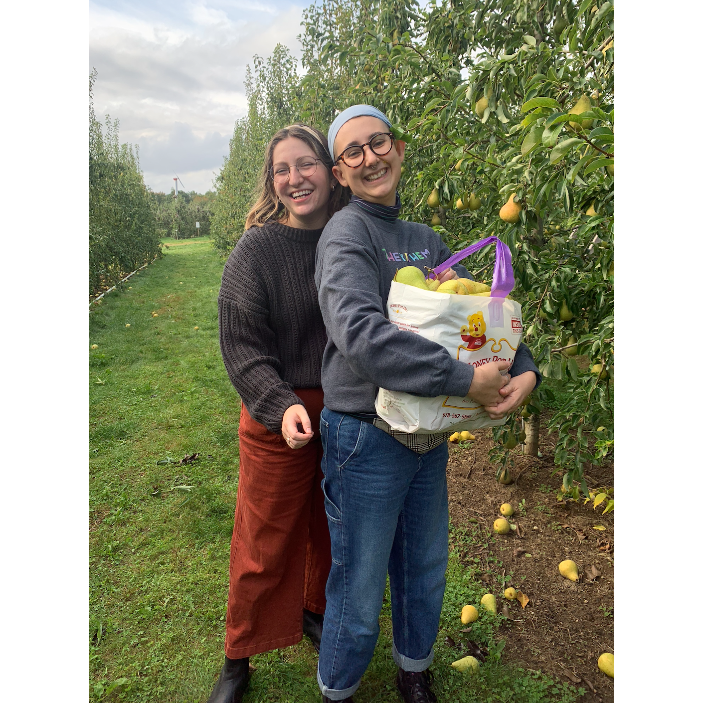 Apple picking, Fall 2021