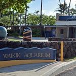 Waikiki Aquarium