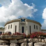 The Butterfly Palace & Rainforest Adventure