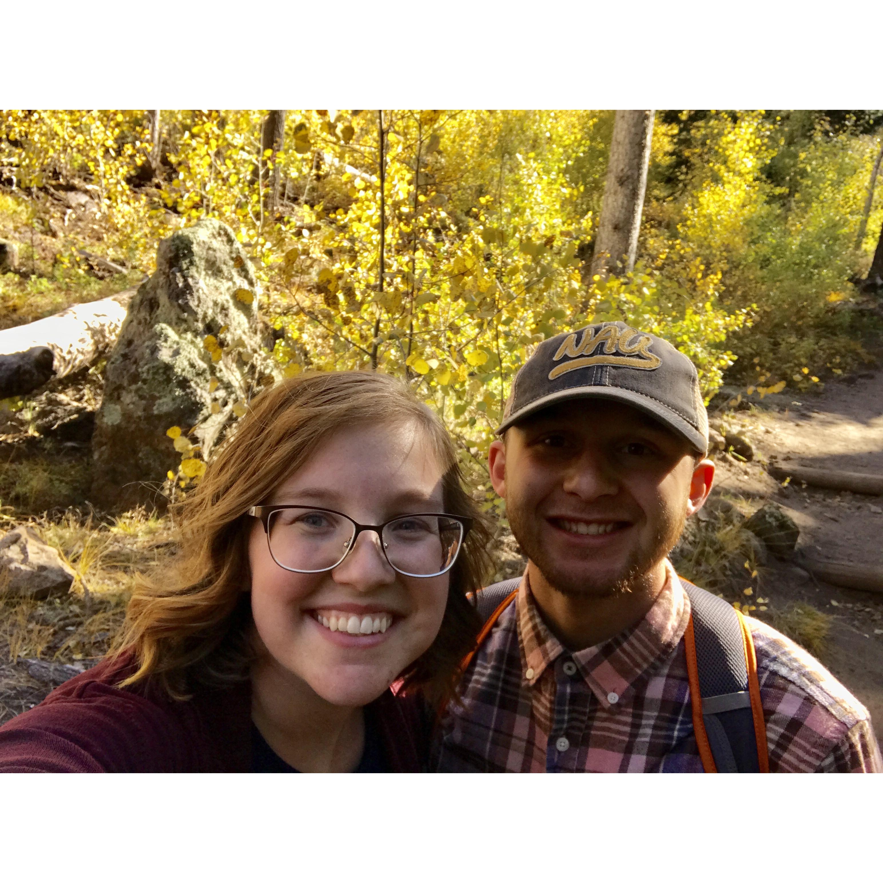 Fall Leaves 2017