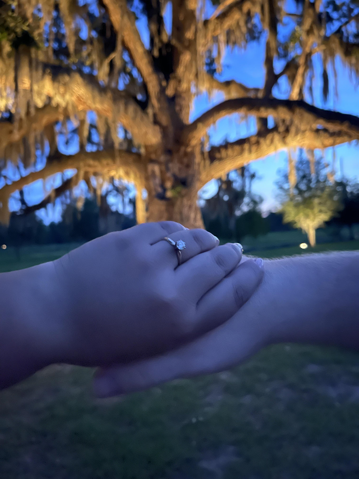 The Wedding Website of Dylan Reeves Penrod and MariaJose RojasRodas