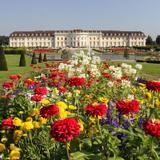 Blooming Baroque
