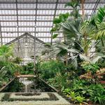 Garfield Park Conservatory