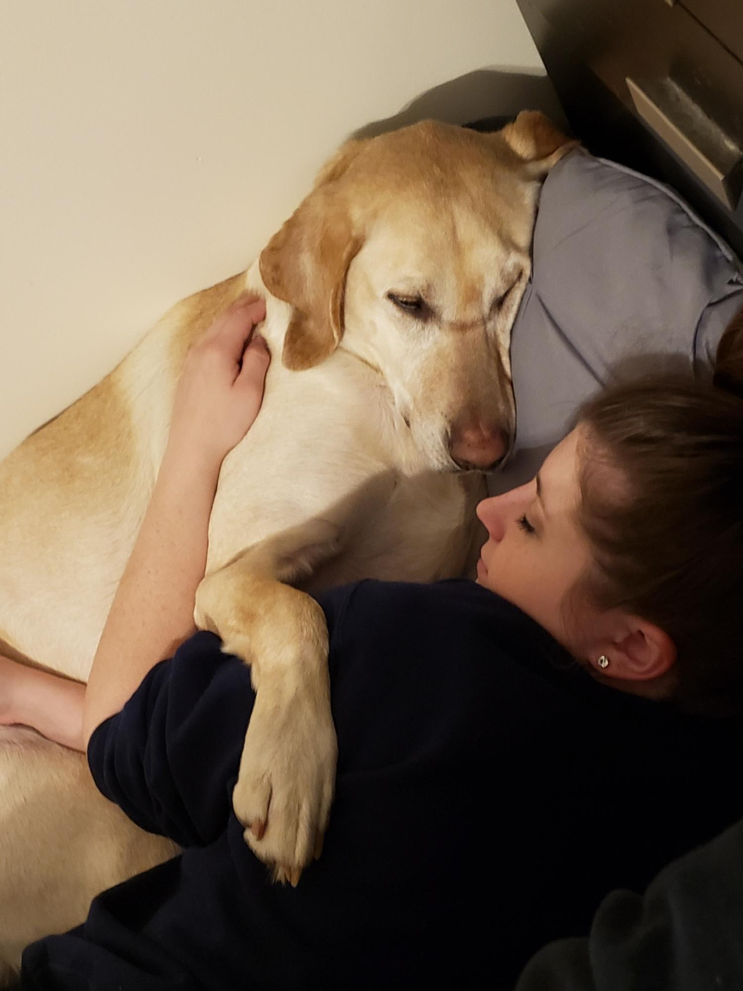 Snuggles with Daisy. Fell asleep on the floor with her.