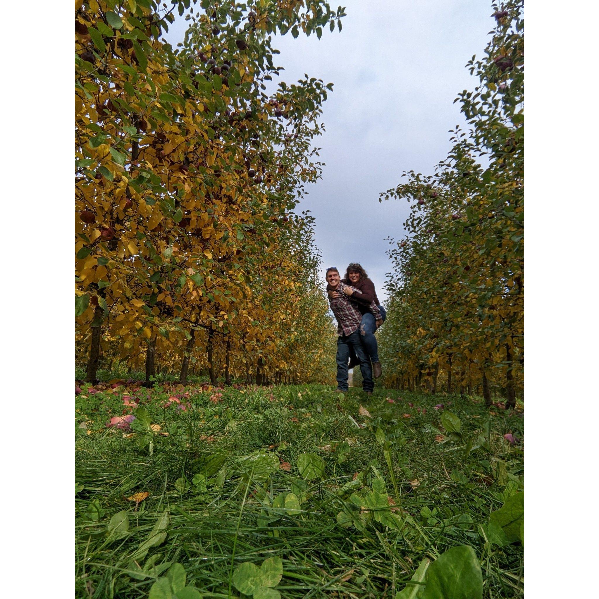 Playing in the apple orchard