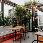 Mosquito Café