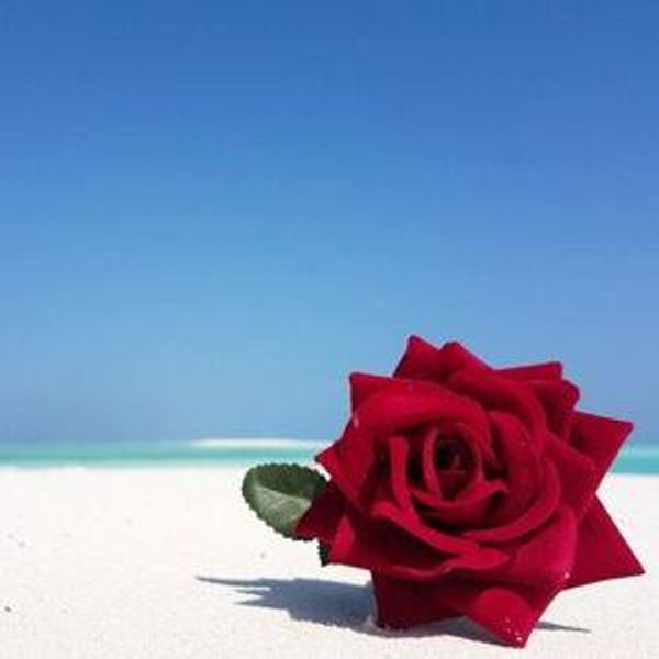 Our Honeymoon