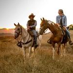 Triple Creek Horse Outfit