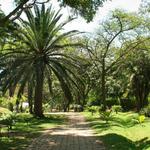 Jardín Botánico de Medellín