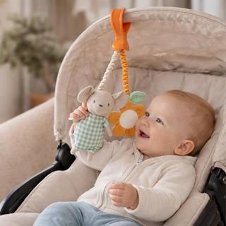 Spring Cottage Pull Down Rattle
