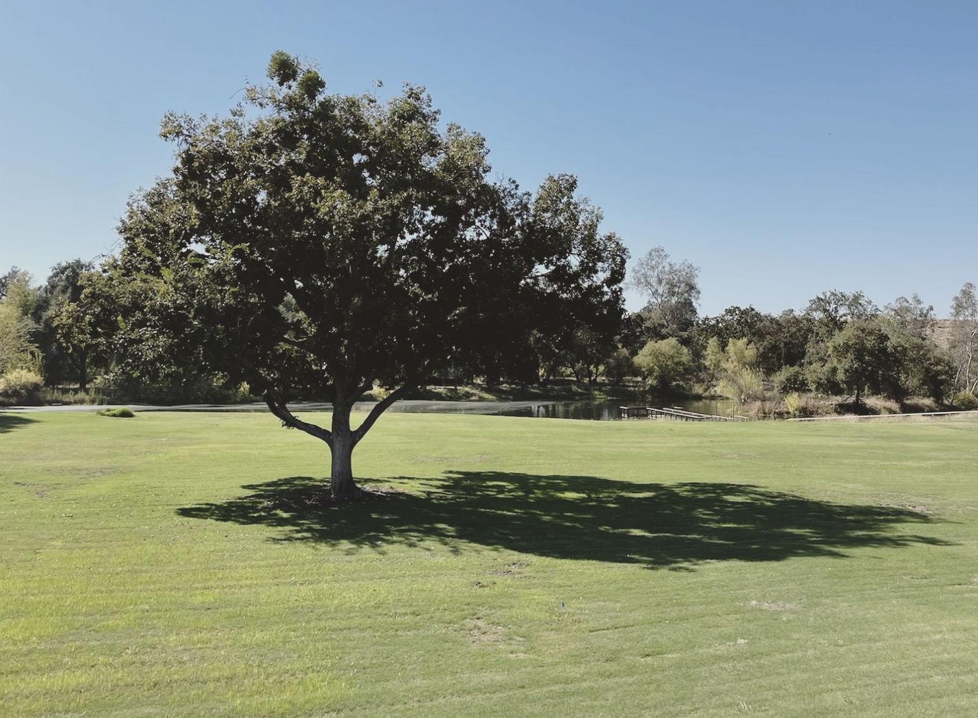 The Wedding Website of Rylee Ellen Gonzales and Rylahn Delon Ray Wesson