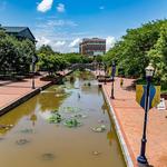 Carroll Creek Linear Park
