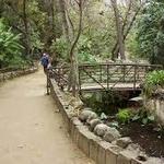 Griffith Observatory West Trail Loop