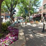 Old Town Square