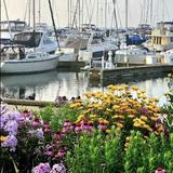Kenosha HarborMarket