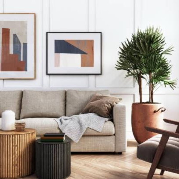New furniture fund