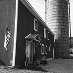 North Meadow Farm