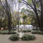 Bosque de Chapultepec