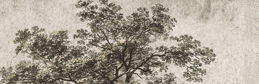 The Wedding Website of Thomas Cooper and Nanor Zinzalian