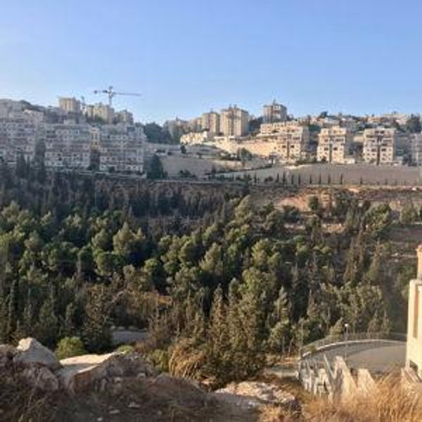 Help us get Meredith to Israel to meet Gali's grandparents!!