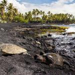 Punalu'u Beach and Bake Shop