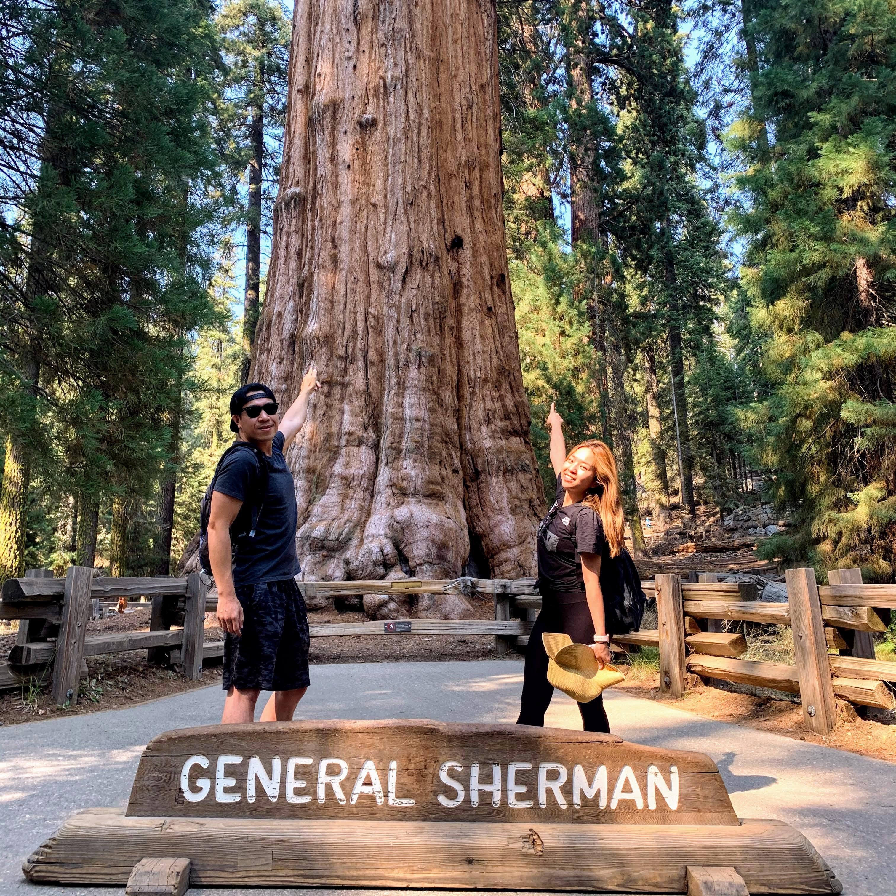 Sequoia 2020