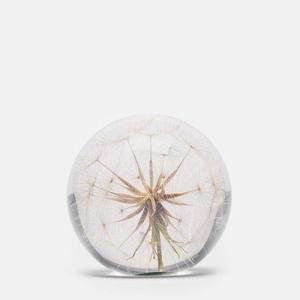 Paperweight - Goat's Beard - Large