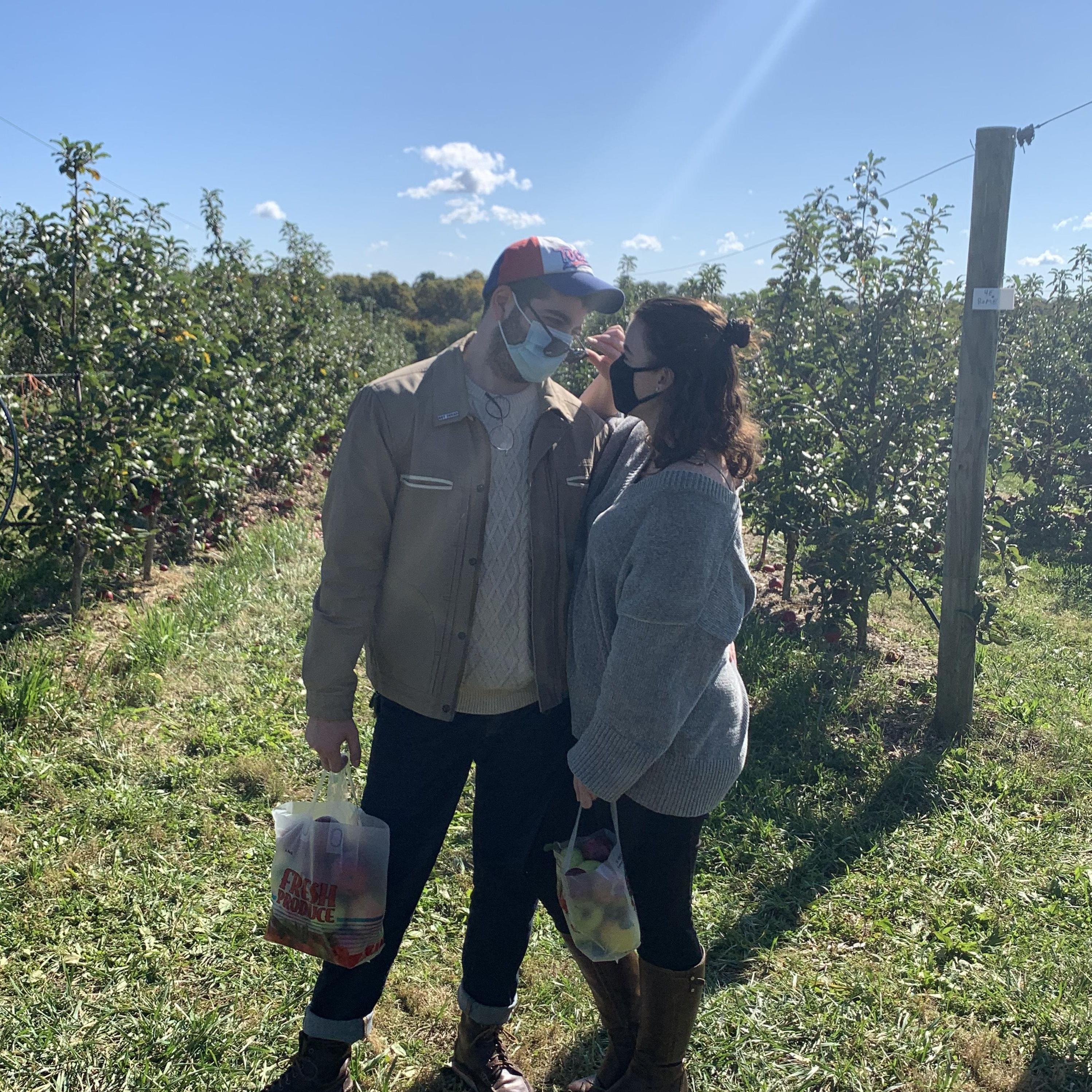 Apple Picking, 2020