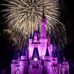 Walt Disney World