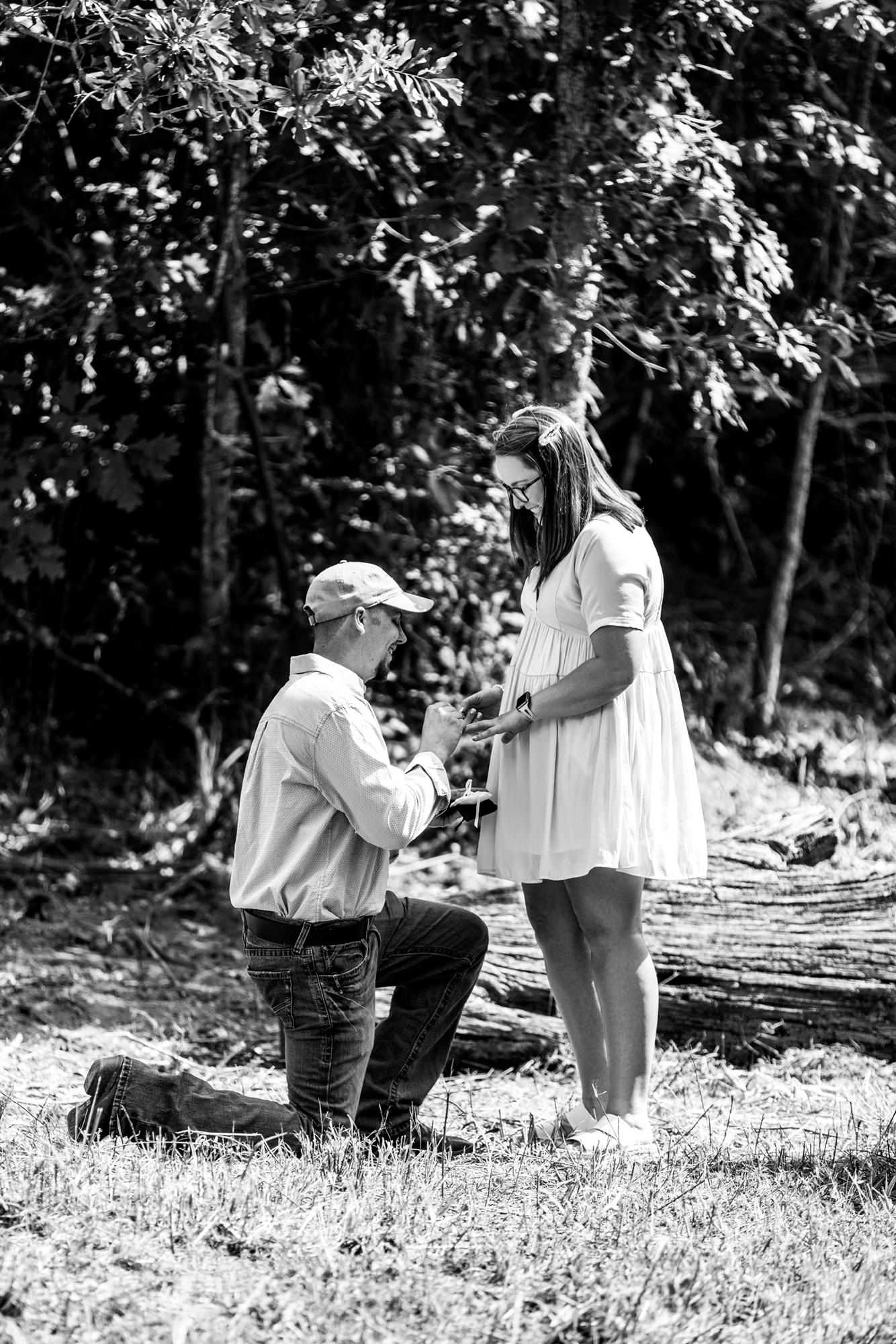 The proposal!